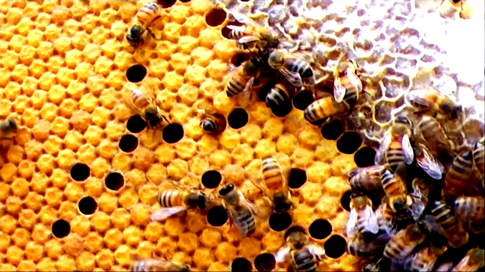 Screen on column in lobby showing water flowing over rocks